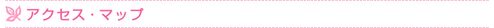 アクセス・マップ